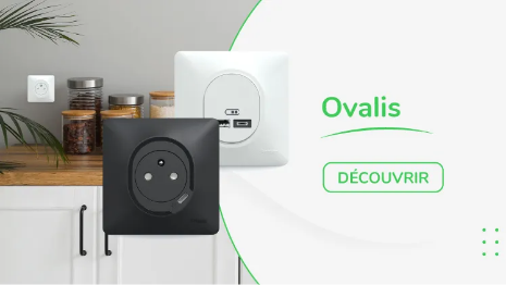 Ovalis : la simplicité par excellence