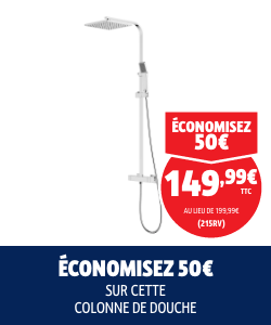 Économisez 50€ sur cette colonne de douche.